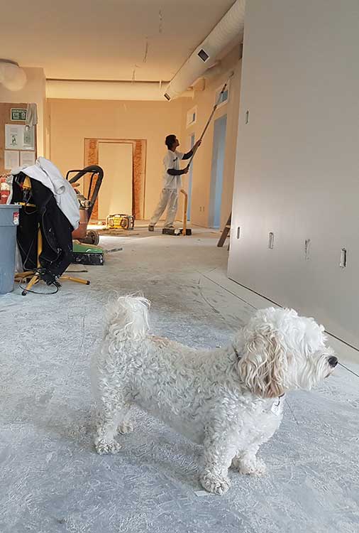 Ανακαίνιση χώρου